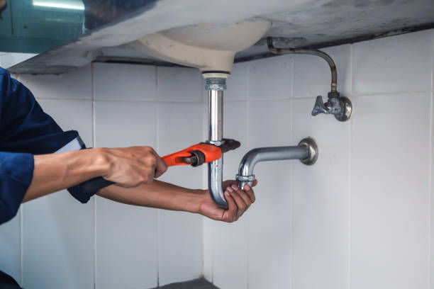 Best Local Plumber Services  in West Bishop, CA